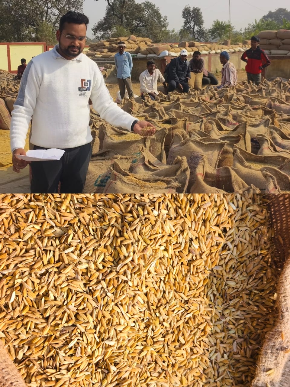 धान मंडी में खराब धान की आवक कोरबा तहसीलदार ने रोकी धान की खरीदी,